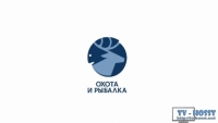 Охота и рыбалка - Редакторы эфиров очень стараются создать уникальные и захватывающие ролики,  в основном это хитрости рыболовства и тонкости дикой охоты. Можно прослушать комментарии экспертов из этой области, что непременно даст....