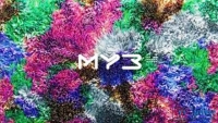 Муз-ТВ - телеканал, который транслирует хитовую музыку. зрительская аудитория насчитывает около 85 миллионов человек разных возрастных групп....